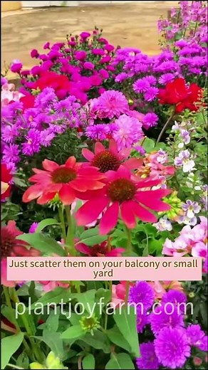 Bring your garden to life with the midwest wildflower seed mix! A burst of colors in every bloom.