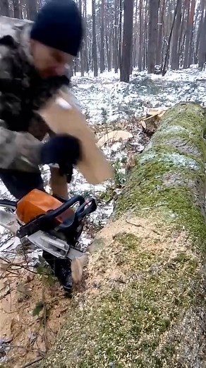 141K views · 721 reactions | #tutorial #foryou #tip #viralpost #funnymoments #lessons #asmr #moment #viralvideo #Reels #fypシ #USA #fypシviralシ #trick #reelsfbpage #lifehack #reelsviral #hack #satisfyingvideo #trending #reelsvideo #joke #funny #tree #reelsinstagram #reelsfb #diy | Brian Cannard | Facebook