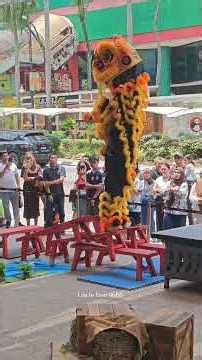National Traditional Lion Dance Competition #沈雲鴻獅藝館