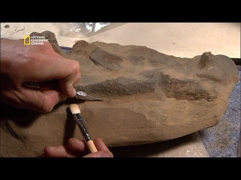 Le découverte du siècle ! Un dinosaure momifié !