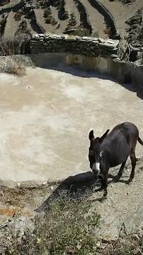 Explanation of the Threshing Floor
