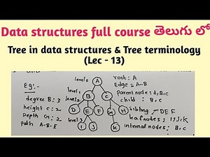 tree in data structures and tree terminology in data structures | height | depth | degree of tree