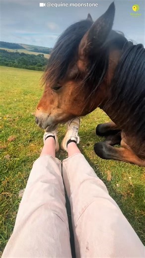 Beautiful ❤️ | Kinder World