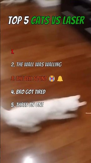 Top 5 Cats vs Laser Moments🐱🔴😂