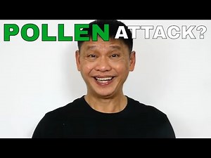 How to stop pollen allergy & hayfever attacks naturally