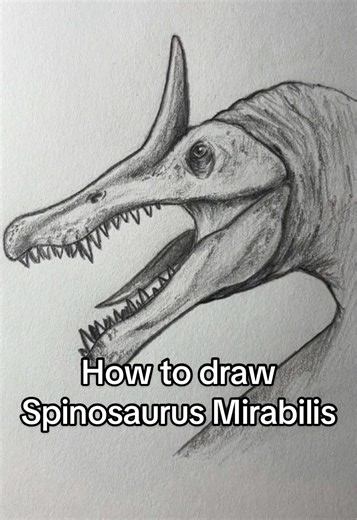 How to draw Spinosaurus Mirabilis! What should I draw next? #art #spinosaurus #spinosaurusmirabilis #drawing #dinosaur how to draw spinosaurus mirabilis dinosaur art drawing tutorial
