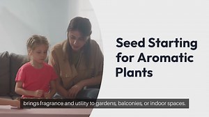Seed Starting for Aromatic Plants