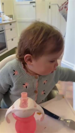 Navigating Toddler Life with Manners