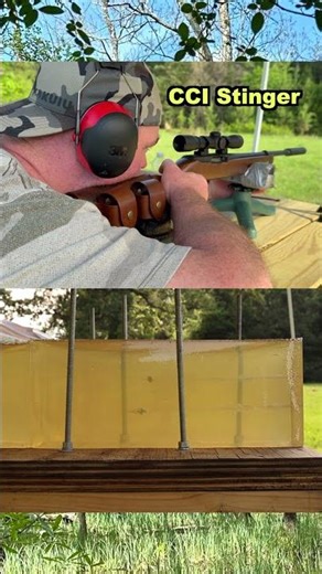 .22LR IMPACT!! (Ruger 10/22 CCI VELOCITOR vs STINGER)