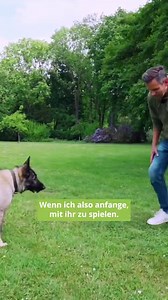Sozialspiel (richtig) abbrechen. . Da mich viele Hundehalter gefragt haben und es einigen schwerfällt, das Sozialspiel mit dem Hund abzubrechen, zeige ich euch in diesem Video, wie ich es mit meiner Hündin Nora mache. . Ausschnitt aus unserem Video: "Richtig SPIELEN mit dem Hund! Wieso das EXTREM wichtig ist!" . Euer Daniel vom Team Doguniversity 💚🎓 | Doguniversity.de