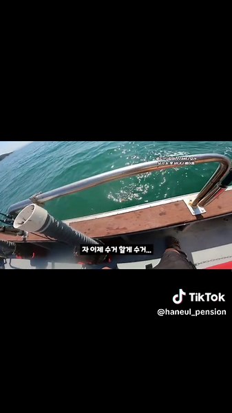 주꾸미 갑오징어 대량 입상 중들물 이단채비 낚시 팁