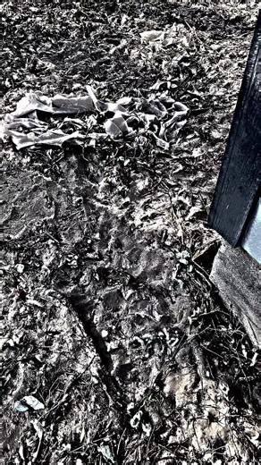 MarvelousONE👽🤖 (@so.random.mc)’s videos with original sound - Rylee