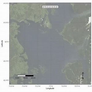 Blue Whale dodging ships while trying to feed This is approximately a 7 day period of Chile's Golfo de Ancud. Source: http://ow.ly/UnBA50Dsive Study from Nature: http://ow.ly/sCkl50Dsivd | I Fucking Love Maps
