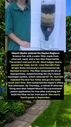 $3.40 Filter Shocked the Judges