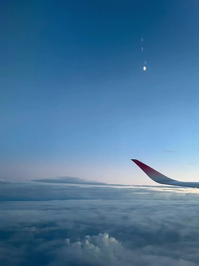 髪切らなきゃ良かった#髪死んだ #毛量多い #どころじゃない #この世の終わり？#今に始まったことじゃない#もう無理や #一生彼氏できん#しゅくもうきょうせいするべきか#対処法 #やらなきゃ良かった