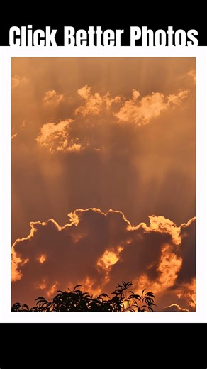 Vivo X200T Camera Review 🔥 | Mobile Photography Tips You Must Try #photography #vivo