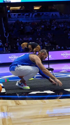 7.5K views · 82K reactions | Can our pets count as our “kids” for this trend⁉️ @orlandomagic ⭐️ | Christian Stoinev | Facebook