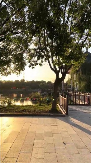 Campus Library Tour in China 🇨🇳 | University Student Life | Study Motivation Vlog