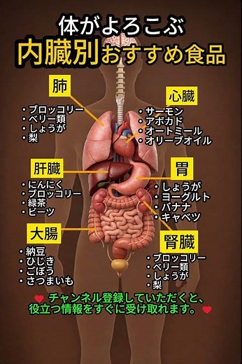 体がよろこぶ(内臓別)おすすめ食品毎日の食事でやさしく整える肺・心臓・肝臓・胃・大腸・腎臓 #シニア健康 #占い #60歳代 #シニア健康 #占い #60歳代 #恋愛 #若い頃 #夜間頻尿