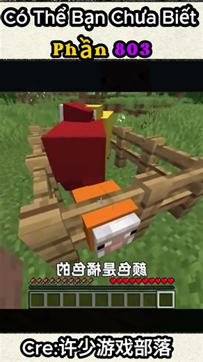 Điều kỳ lạ trong Minecraft #803: 🐑💣 Cừu sinh ra… nổ luôn!? – Khi Steve chơi lai tạo động vật quá đà!
