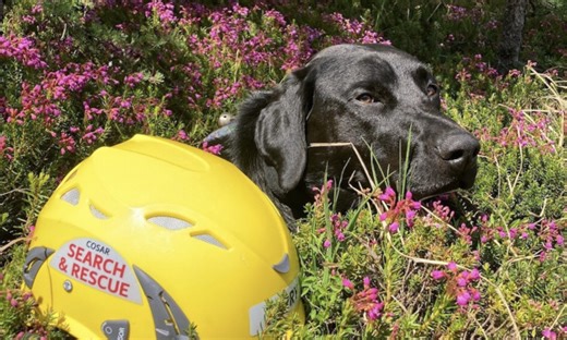 Central Okanagan Search and Rescue honours fallen K9 hero with trail dedication
