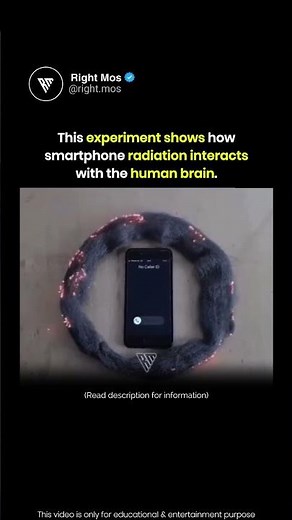 Phone Signals Explained 📱🧠