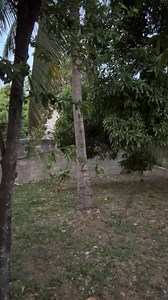 Dwayne Onfroy on Instagram