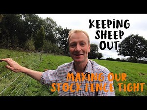 Installing a Wire Stock Fence to keep the sheep out.