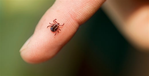 Former NFL Star Opens Up About the Horrible Realities of Having Lyme Disease