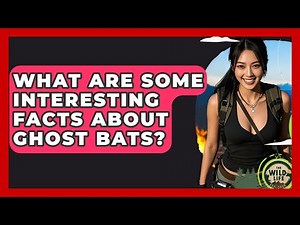 What Are Some Interesting Facts About Ghost Bats? - The Wild Life Explorer