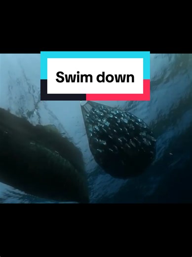 Uniting Against Corruption: Time to Fight the System