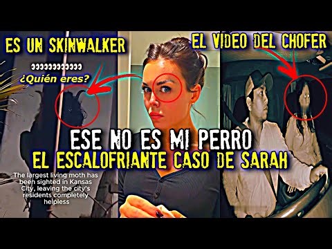 That's not my dog ​​| The chilling case of Sarah