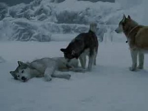 Enigma Moment of Peace