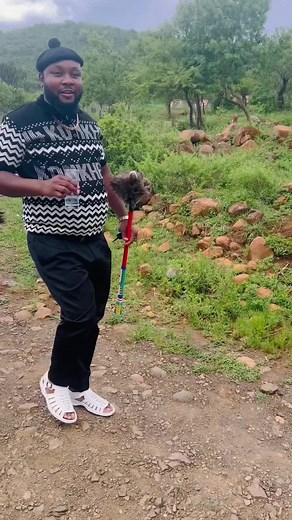 Ezase Woolies: The Joy of Local Delicacies