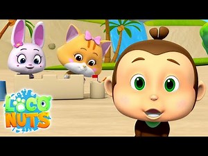 Musim Panas Abadi | Video lucu | Film animasi | Loco Nuts Indonesia | Kartun untuk anak anak