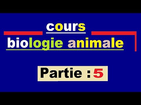 La biologie animale Ep 5 : comment classer les animaux