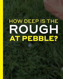 340K views · 824 reactions | The rough at Pebble is going to be...well, pretty rough.  | GOLF.com | Facebook