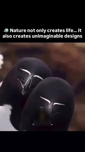 Nature’s Original Design: Human-Made vs. Evolution 🌿✨