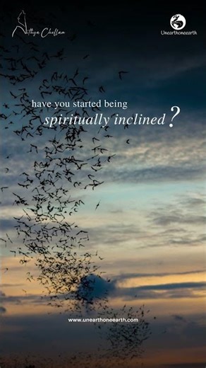 Bats🦇 Power Animal #shorts #youtubeshorts #motivation #animals #bats #spiritual #spiritanimal