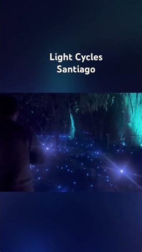 Crystal Grove #lightcycles #santiago #parquemet #nightwalk #natureatnight #santiagodechile