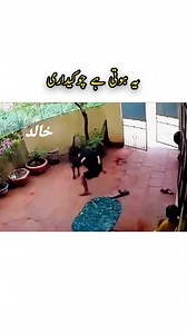 🦋 Video Amazingly Beautiful 💋🦋 # | KH Diamond Art