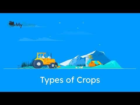 Types of Crops 3 720p