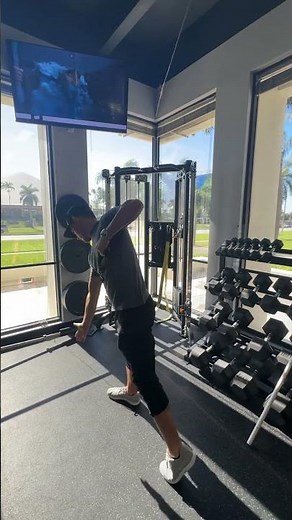 Golf Split Squat with Row #painrehabb #golf