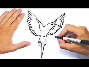 Cómo dibujar un Colibri Paso a Paso | Dibujo de Colibri