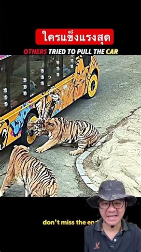 Who is the strongest?