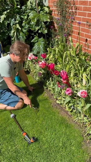 Lawn Repair Work