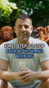 104K views · 2K reactions | Barking is a natural behavior for dogs,...