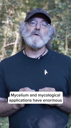 33K views · 842 reactions | Mycelium and mycological applications...
