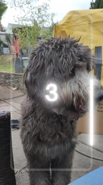 Rory the Muppet 😁