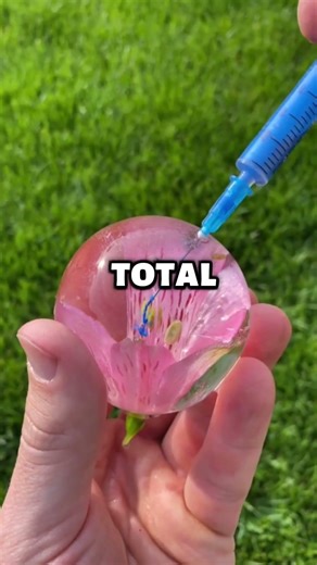 A "Trash" Photo Sat on His Desk for 24 Years... Until This. 😱